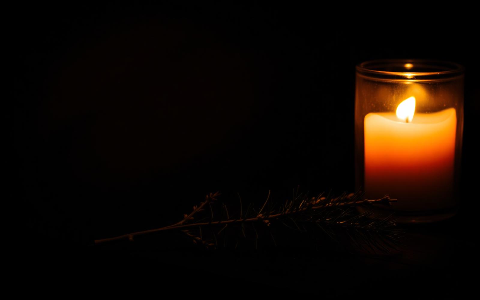 The Seasonal Cellar: Scents That Wait for the Cold